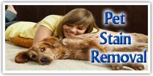 pet-stain-removal