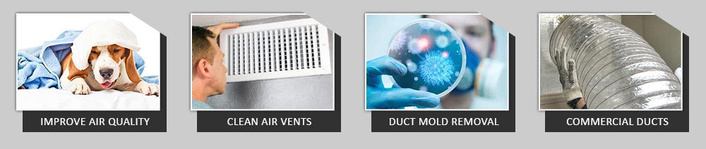 Mold In Air Ducts Garland TX