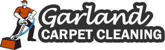Professional Carpet Cleaning Company Logo